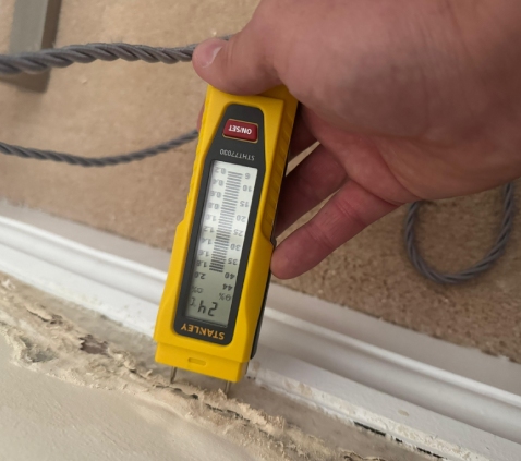 dry rot specialist