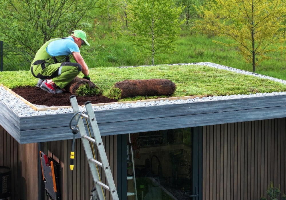 Green Roof Installation