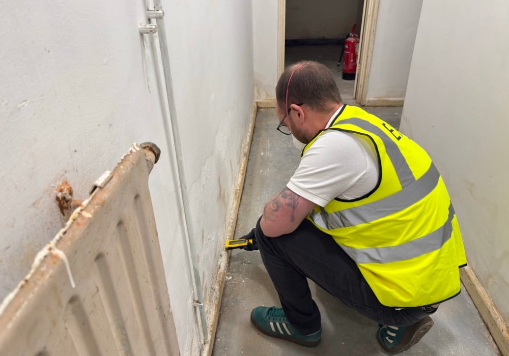 Who pays for a damp survey, buyer or seller?