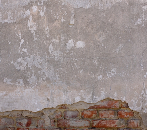 does damp proofing actually actually work