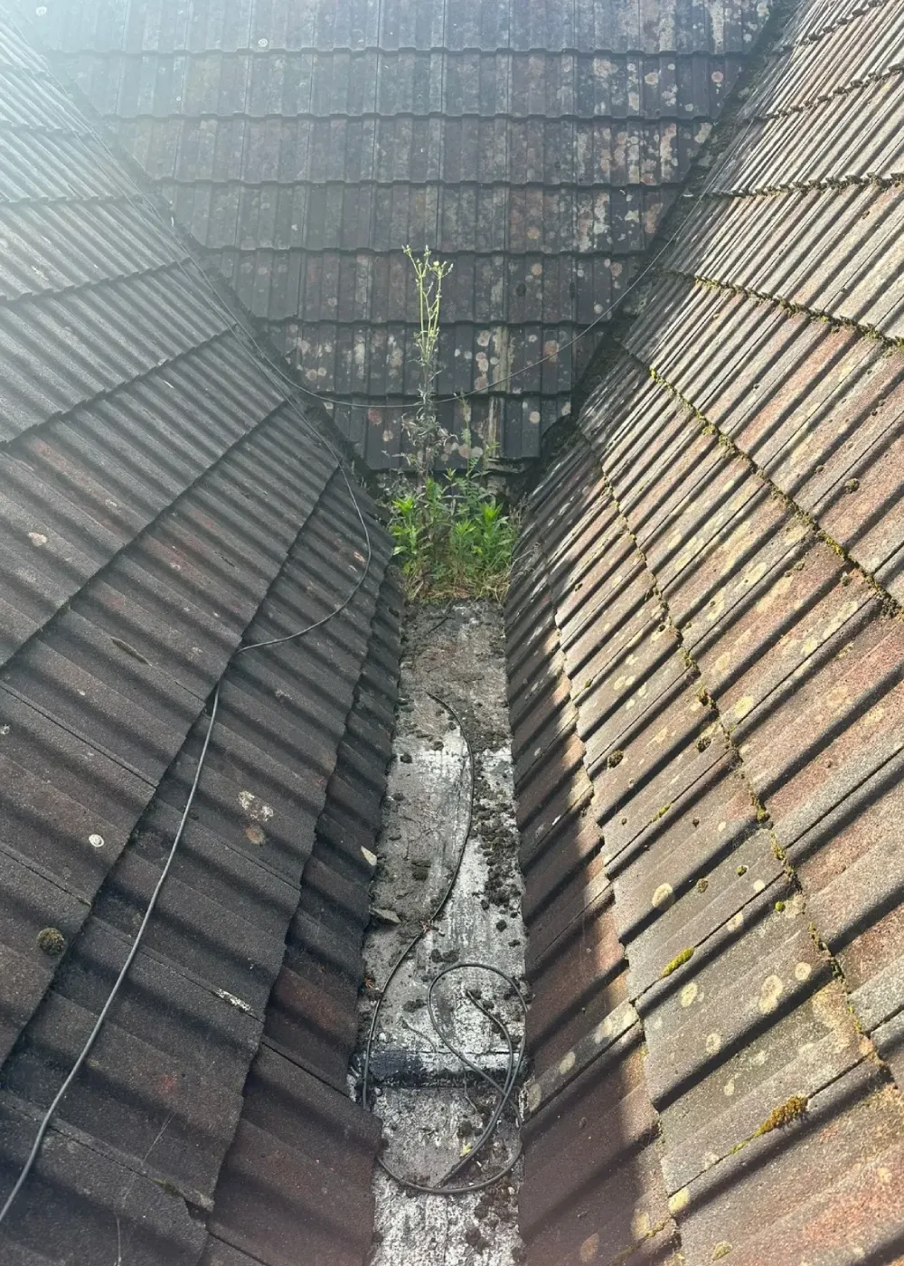 roofer hampshire