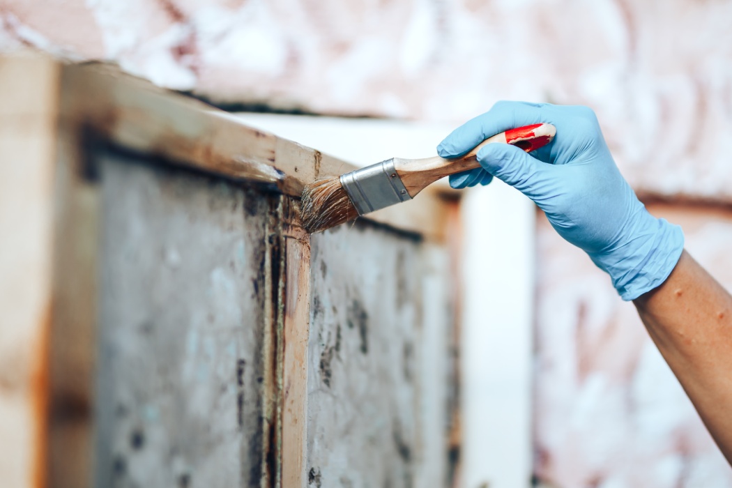 Can mould behind walls make you sick?