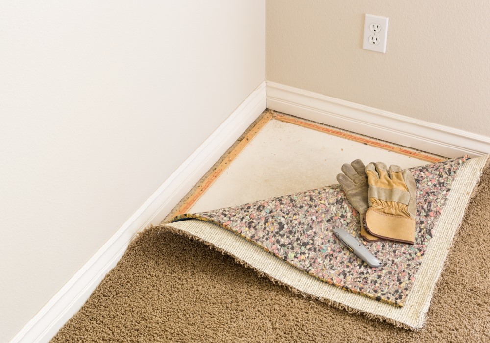Can mould grow under carpet?