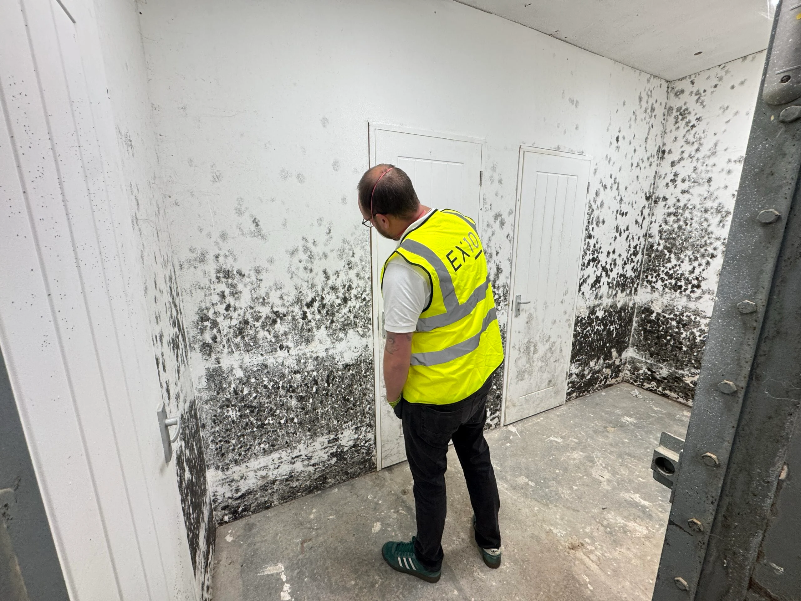 Damp specialist Brockenhurst
