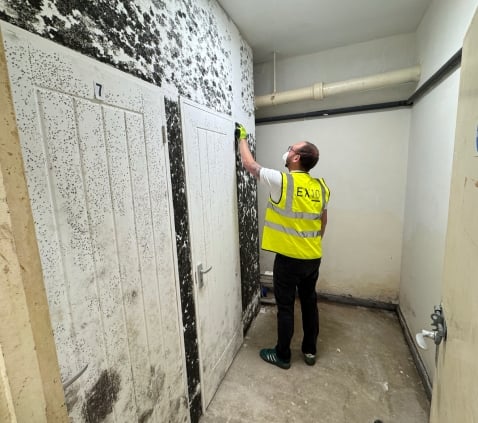 Damp Specialist Portsmouth