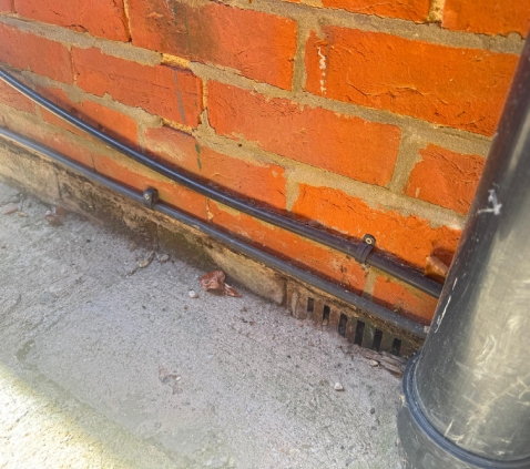 Damp specialist Bridport