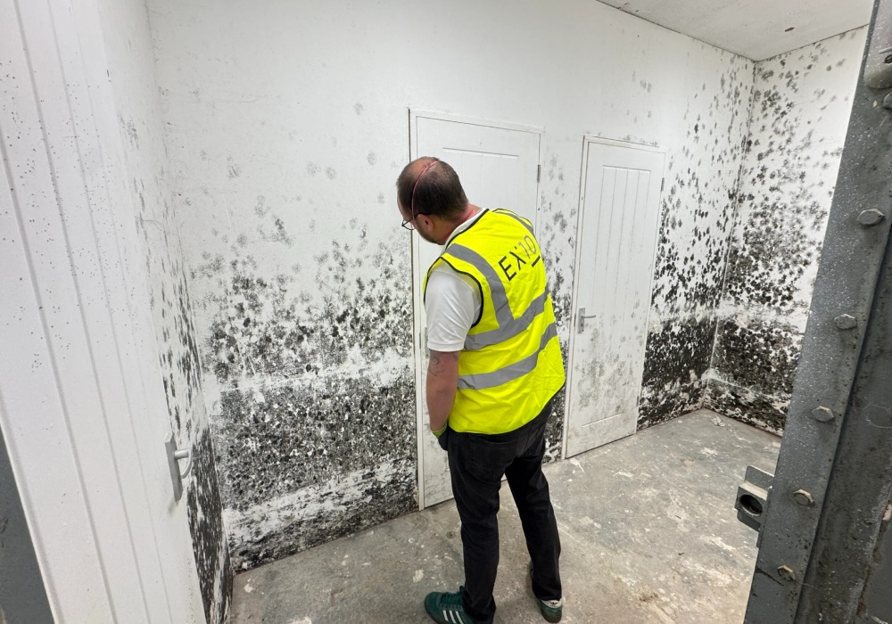 damp company Bridport
