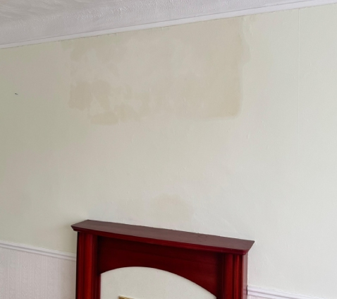 damp company Brockenhurst