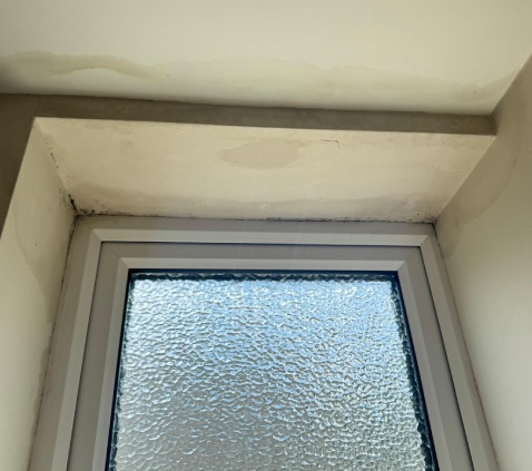 damp company Dorchester