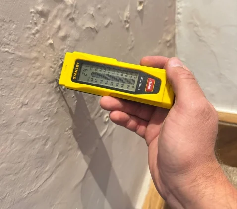 damp services Ferndown