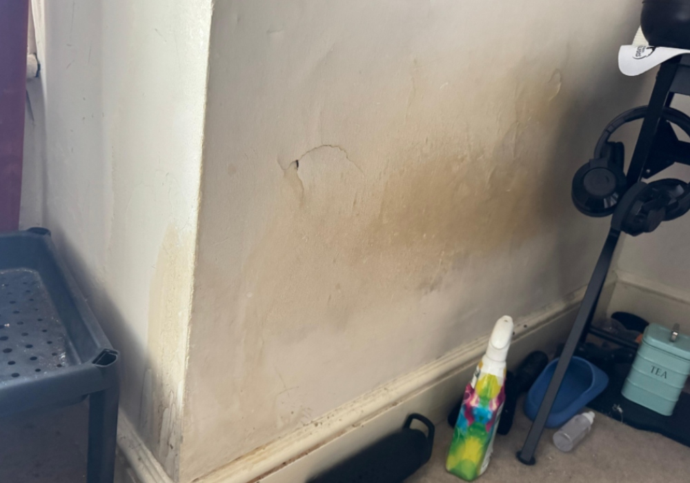 damp company Fordingbridge