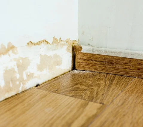 damp services Fordingbridge