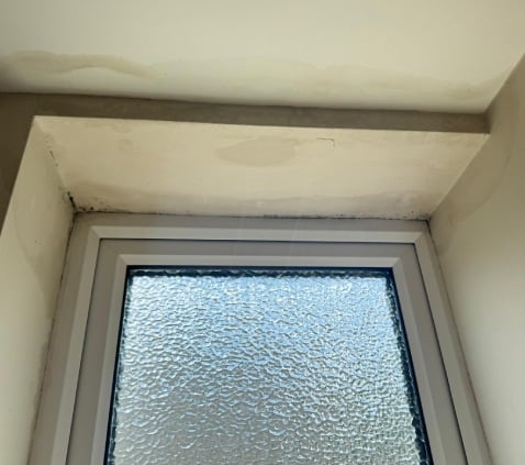 damp company Ringwood
