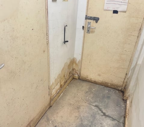 damp services Wareham