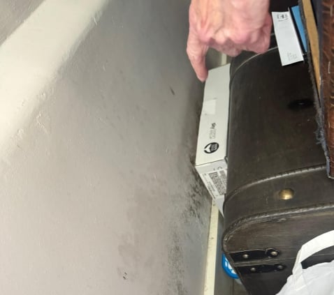 damp company Wimborne
