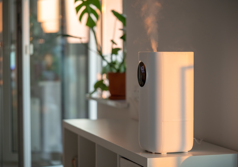 Do air purifiers help with mould?