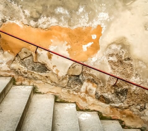 How long does penetrating damp take to dry out