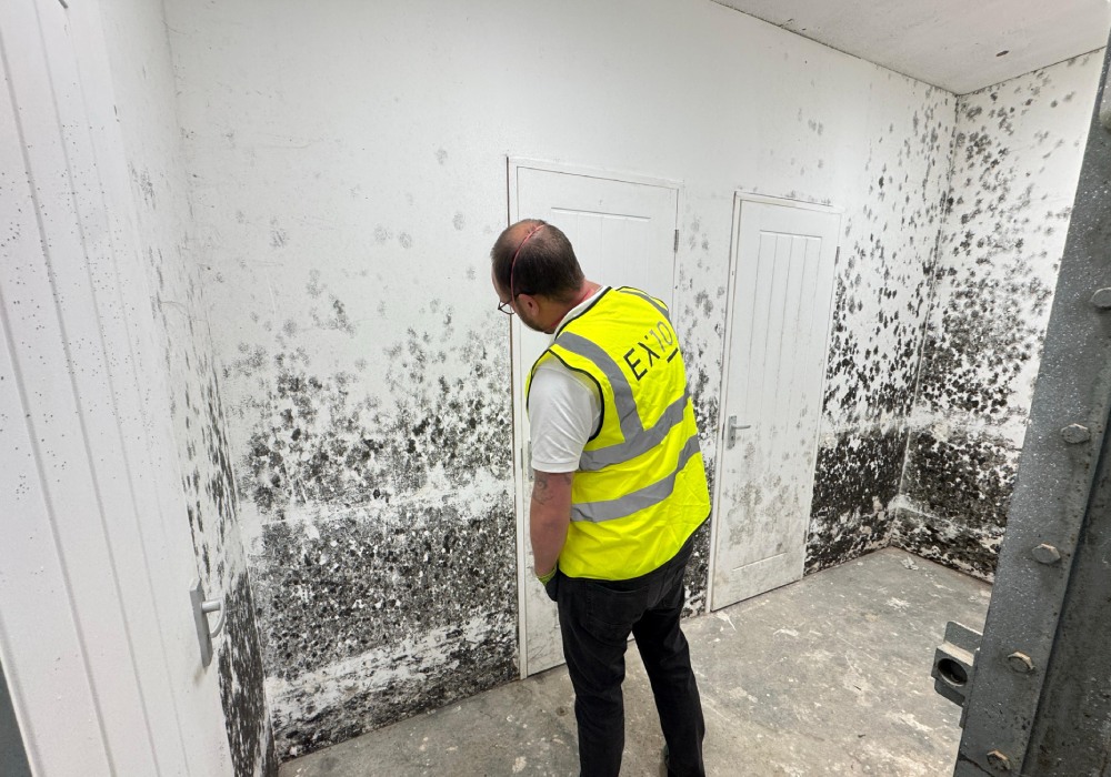 What does a mould specialist do