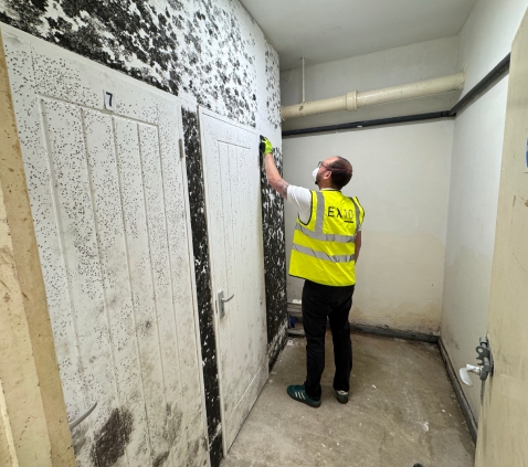 What is the difference between mould removal and remediation