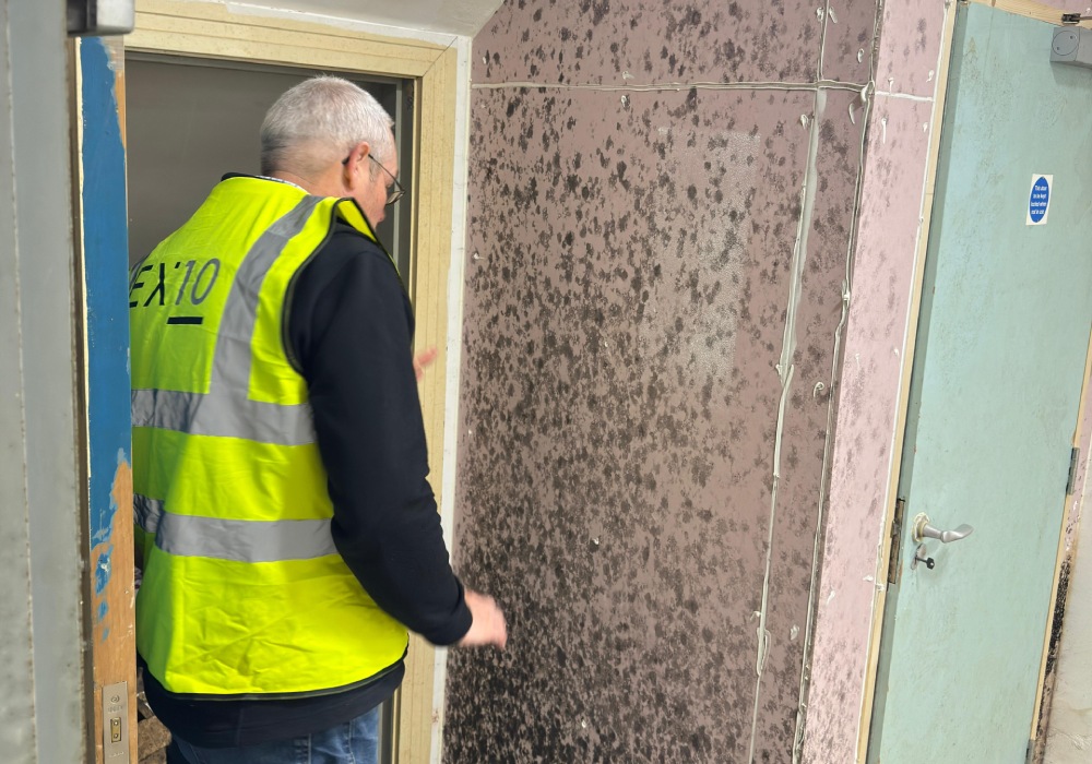 damp company Dorset