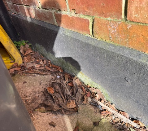 damp services poole